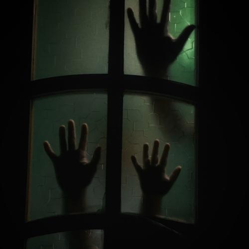 Photo #4516150
