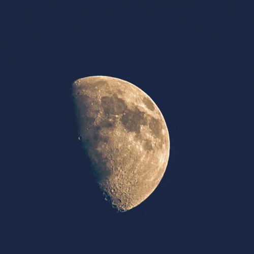 Photo #4516440