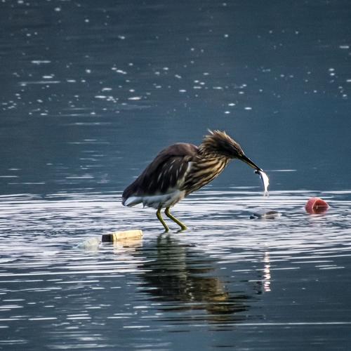 Lunch Time