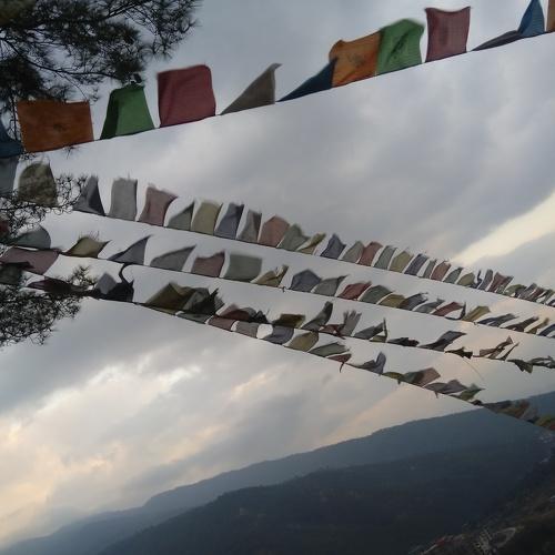 Photo #4516693