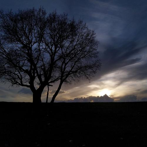 Photo #4516854