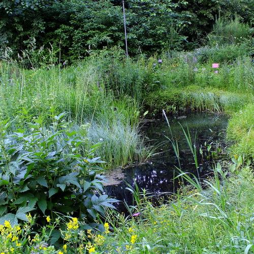 Photo #4517129