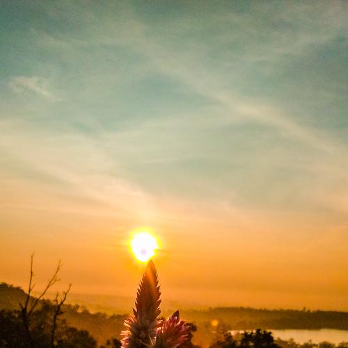 Rising sun