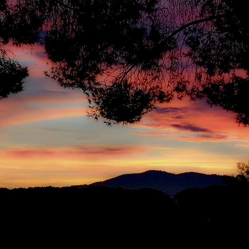 Photo #4517412