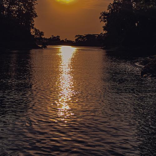 Photo #4517494