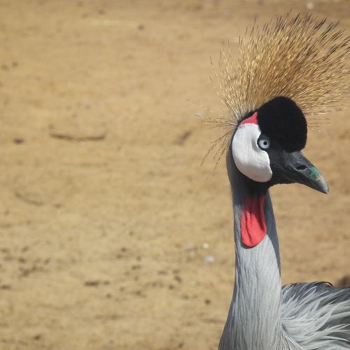 Photo #4517534