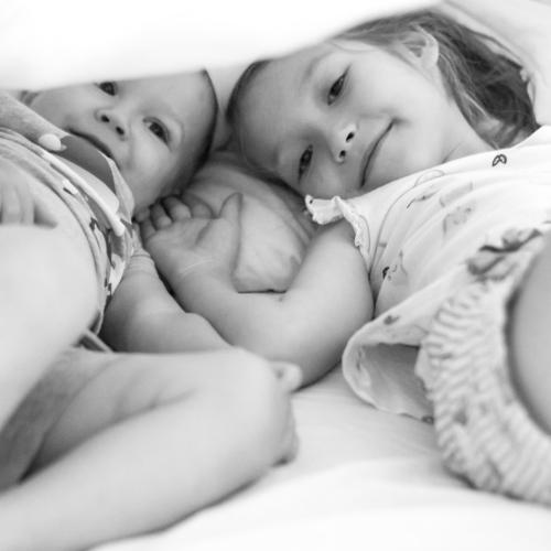 Photo #4517675