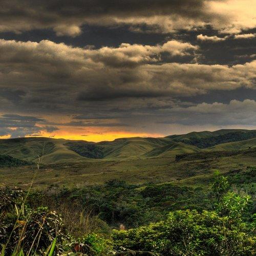 Photo #4517857