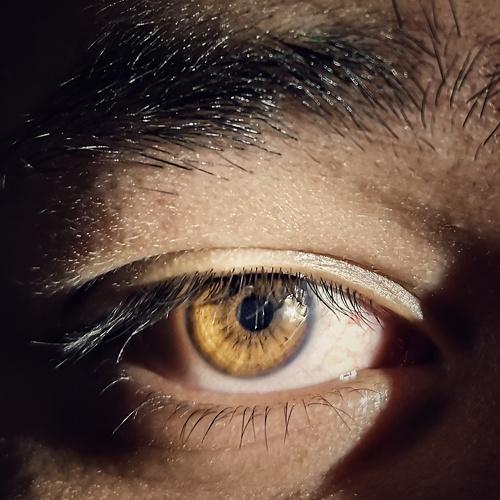 Photo #4518159