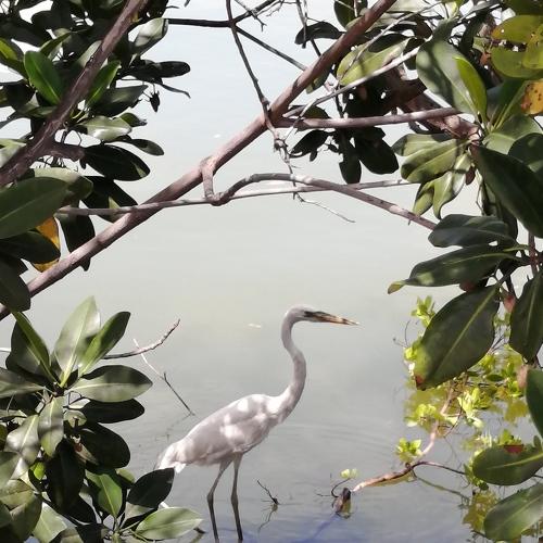 Photo #4518244