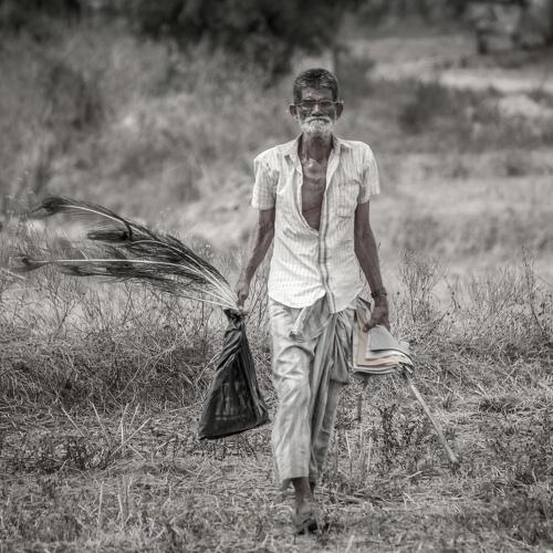 Human being