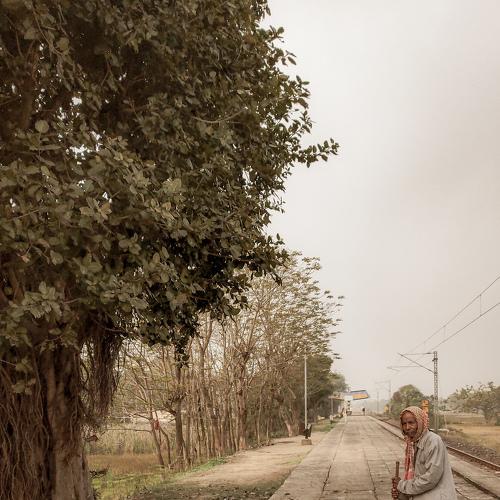 Photo #4518532