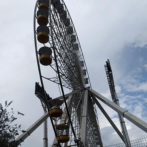 Photo #4518781