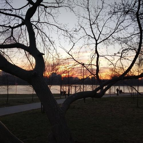 Photo #4518894