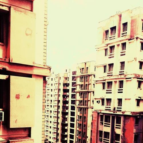 Photo #4519000