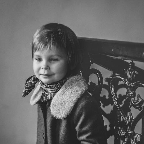 Photo #4519022
