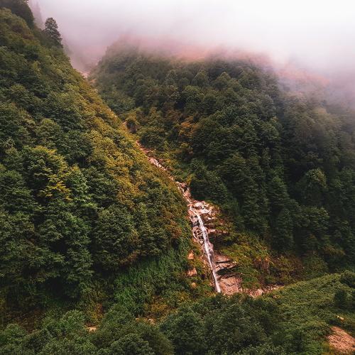 Photo #4519154