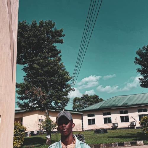 Photo #4519344