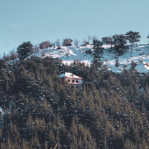 Photo #4519500