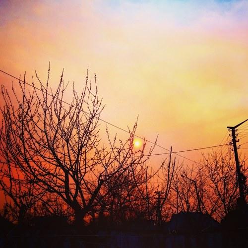 Photo #4519590