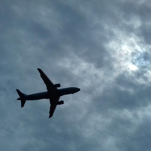 Photo #4520551