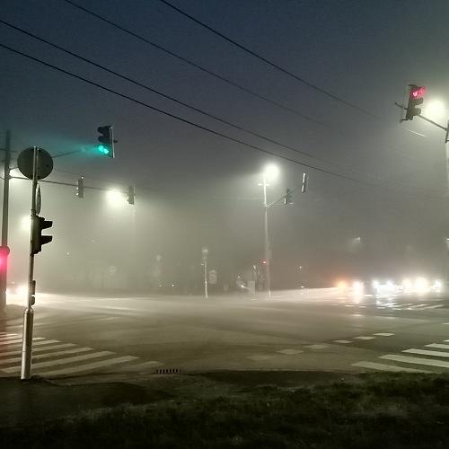 Photo #4521040