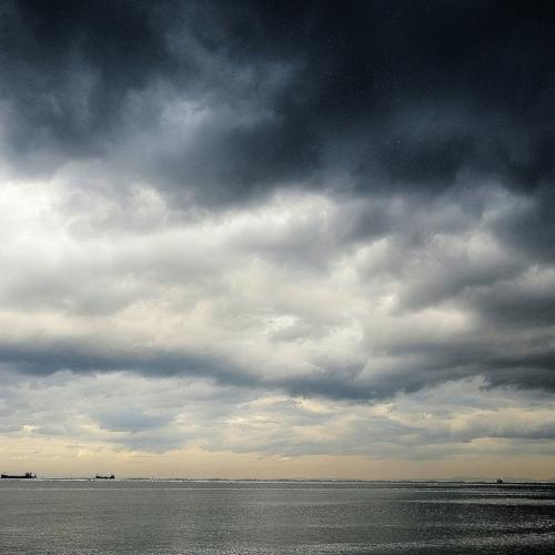 Photo #4521258