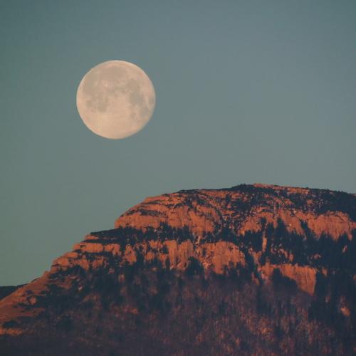 Photo #4521359