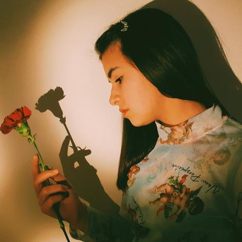 Photo #4521372