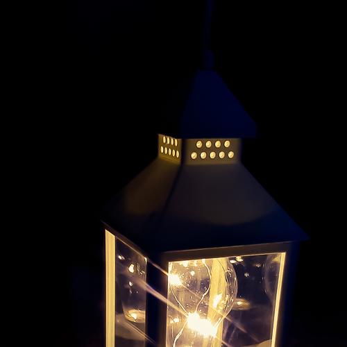 Photo #4521659
