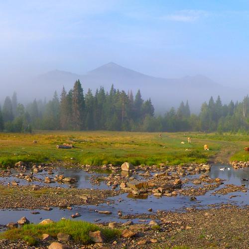 Photo #4521723