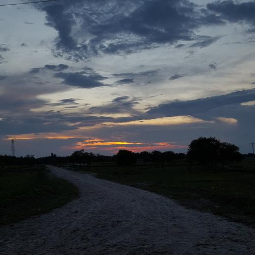 Photo #4521998