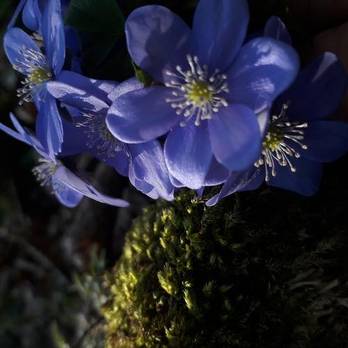 Photo #4522045