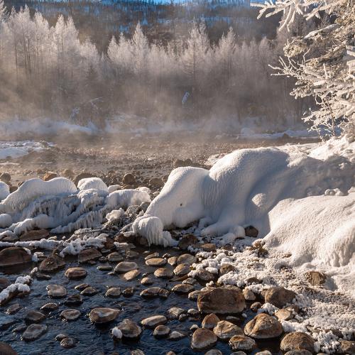 Photo #4522204