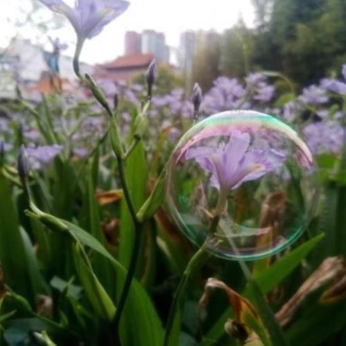 Photo #4522244