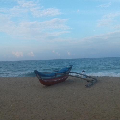 Photo #4522592