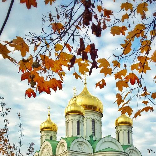 Photo #4522625
