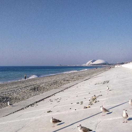 Photo #4522648