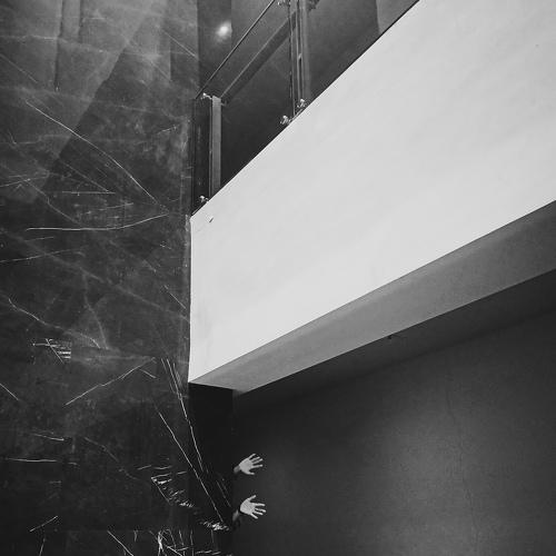 Photo #4523068