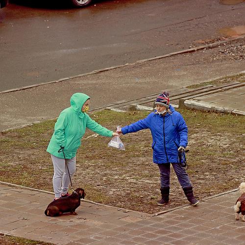 Photo #4523234