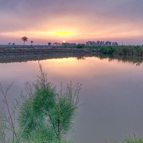 Evening view