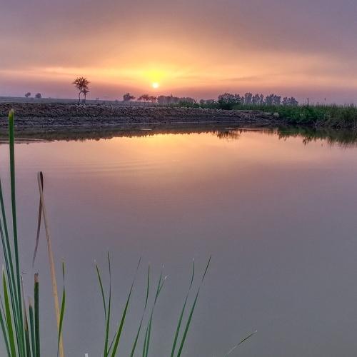 Photo #4523314