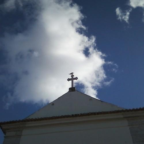 Photo #4523346