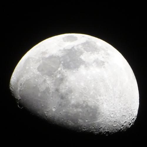 Photo #4523677