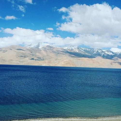 Photo #4523722