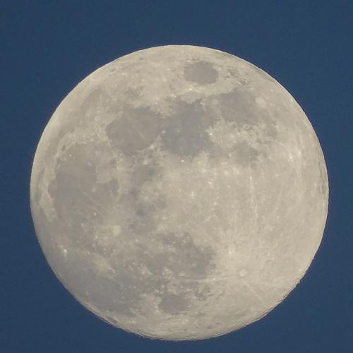 Photo #4523779