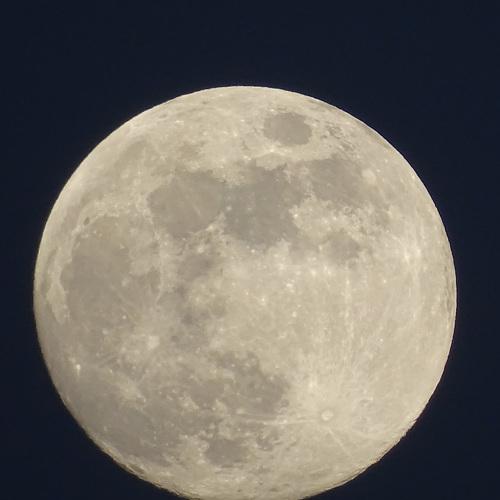 Photo #4523904