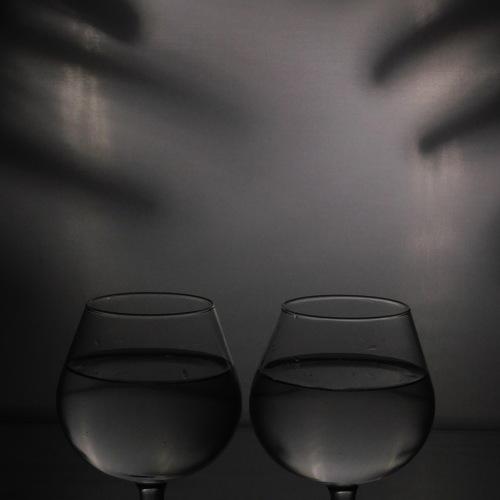 Photo #4524042
