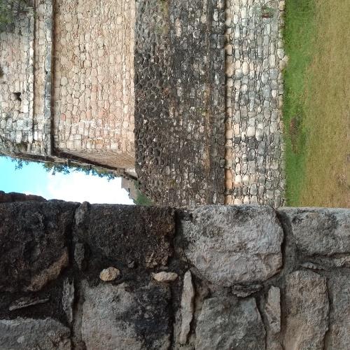 Photo #4524662