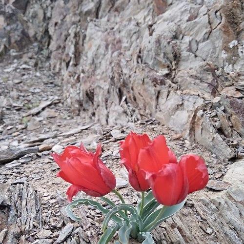 Photo #4524996